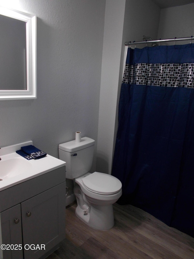 2705 S Michigan Ave, Joplin, MO 64804 - bathroom featuring wood finished floors, vanity, and a shower with shower curtain