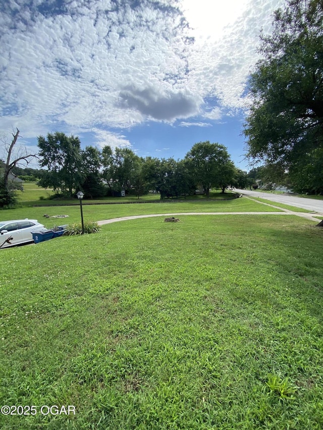 1324 Olive St, Carthage, MO 64836 - photo 6