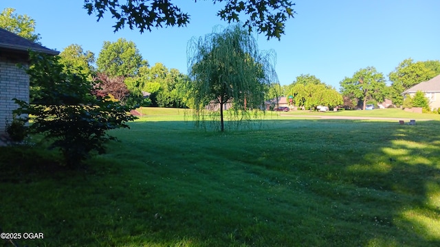 2107 E 35th St, Joplin, MO 64804 - photo 29