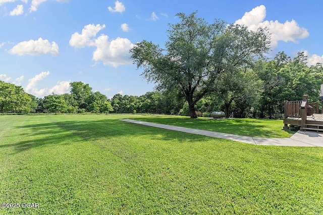 6269 E State Highway 76, Anderson, MO 64831 - photo 35