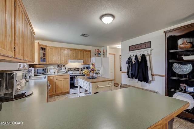23841 Jaguar Rd, Oronogo, MO 64855 - kitchen with electric range, white fridge with ice dispenser, stainless steel microwave, under cabinet range hood, and a textured ceiling