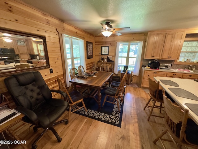 29258 Kapok Dr, Stark City, MO 64866 - photo 6