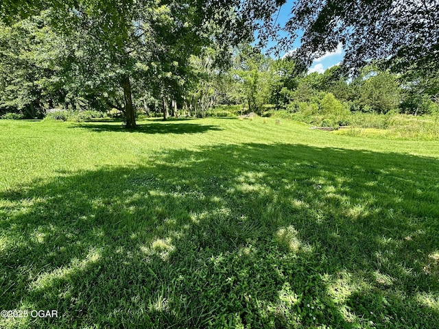 29258 Kapok Dr, Stark City, MO 64866 - photo 29
