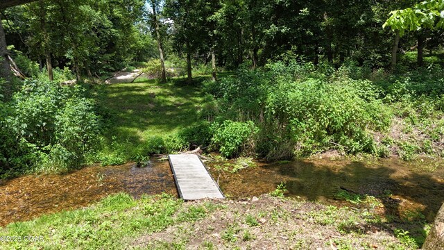 29258 Kapok Dr, Stark City, MO 64866 - photo 32