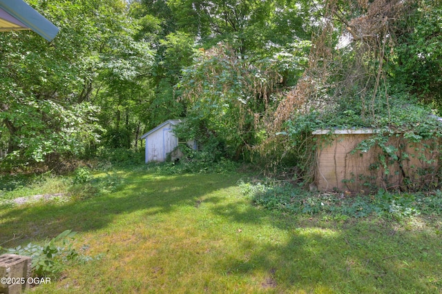 712 Joplin St, Sarcoxie, MO 64862 - view of green lawn with a storage shed and a wooded view
