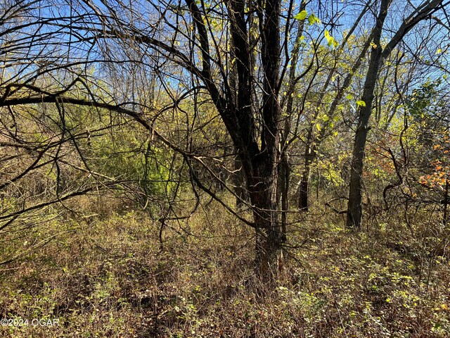 8988 Thorn Rd, Jasper, MO 64755