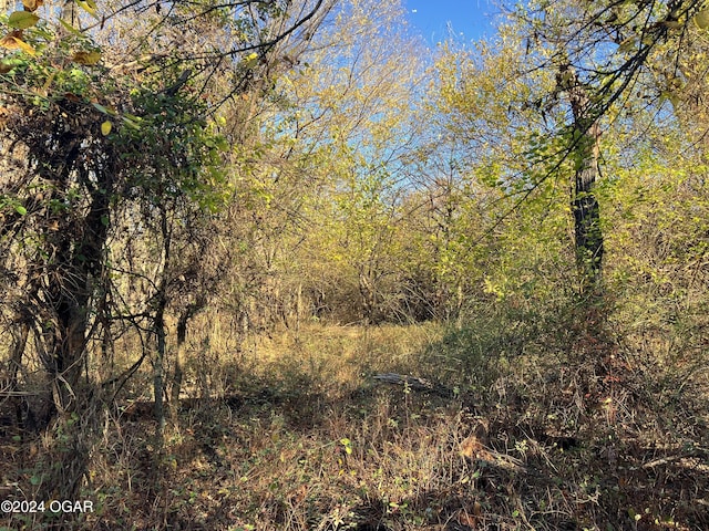 8988 Thorn Rd, Jasper, MO 64755