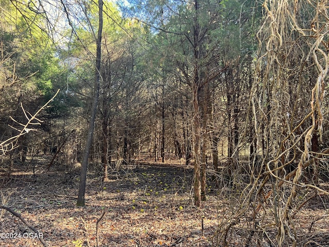8988 Thorn Rd, Jasper, MO 64755
