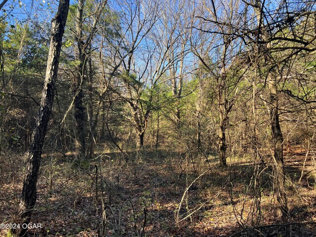 8988 Thorn Rd, Jasper, MO 64755
