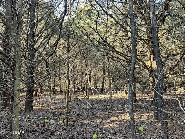 8988 Thorn Rd, Jasper, MO 64755