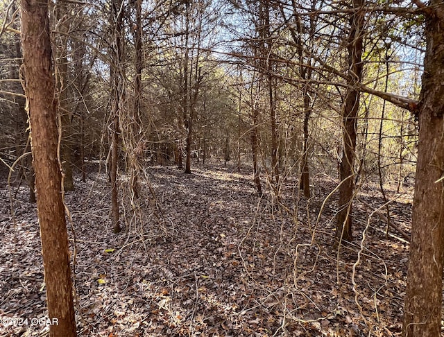 8988 Thorn Rd, Jasper, MO 64755