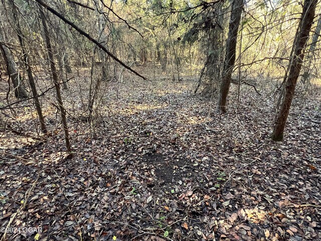 8988 Thorn Rd, Jasper, MO 64755