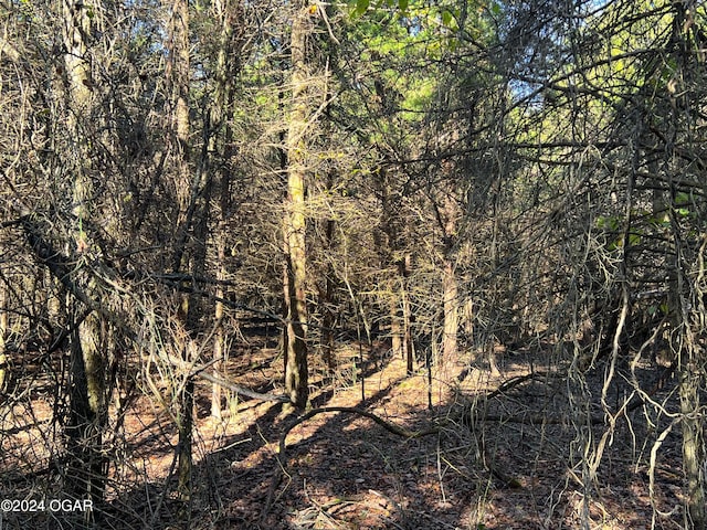 8988 Thorn Rd, Jasper, MO 64755