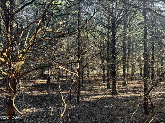 8988 Thorn Rd, Jasper, MO 64755