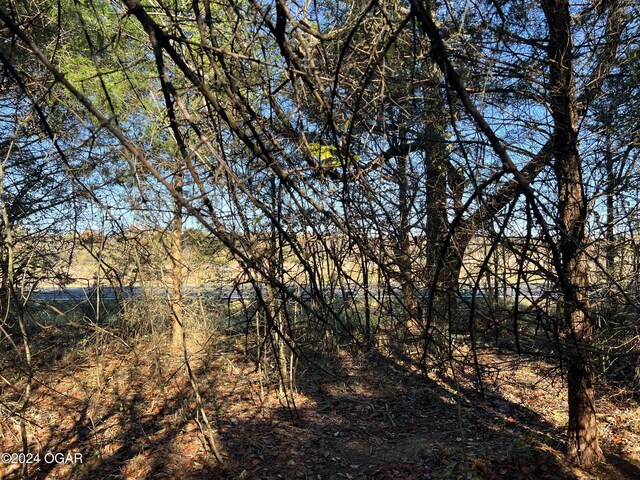 8988 Thorn Rd, Jasper, MO 64755
