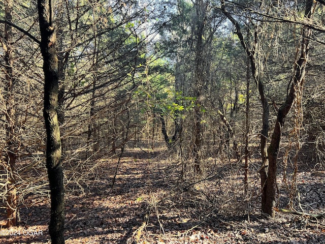 8988 Thorn Rd, Jasper, MO 64755
