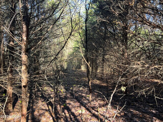 8988 Thorn Rd, Jasper, MO 64755