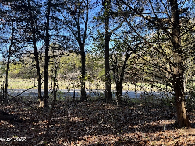 8988 Thorn Rd, Jasper, MO 64755