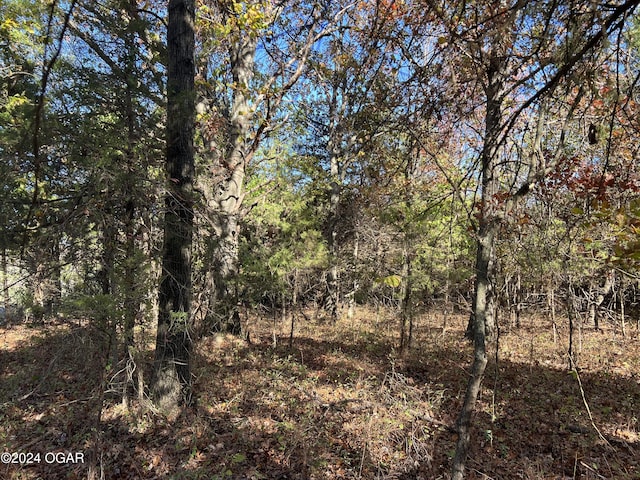 8988 Thorn Rd, Jasper, MO 64755