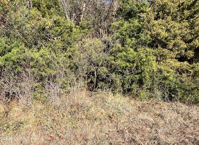 8988 Thorn Rd, Jasper, MO 64755