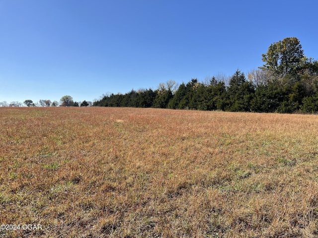8988 Thorn Rd, Jasper, MO 64755
