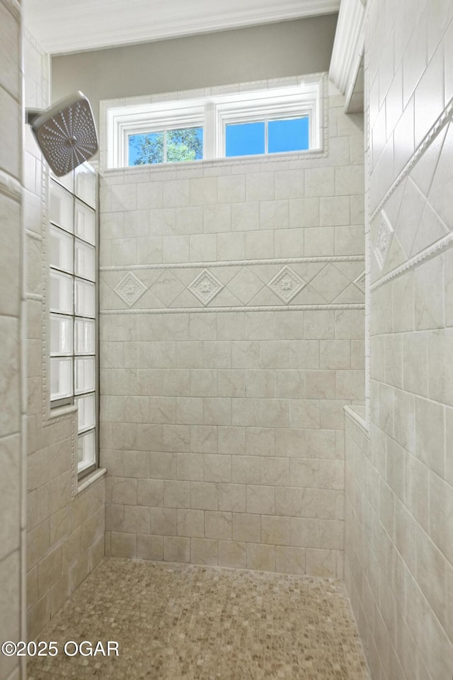 5738 Deer Park Ln, Joplin, MO 64804 - full bathroom with tiled shower and plenty of natural light