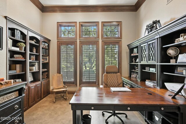5738 Deer Park Ln, Joplin, MO 64804 - office with ornamental molding, carpet flooring, and a towering ceiling