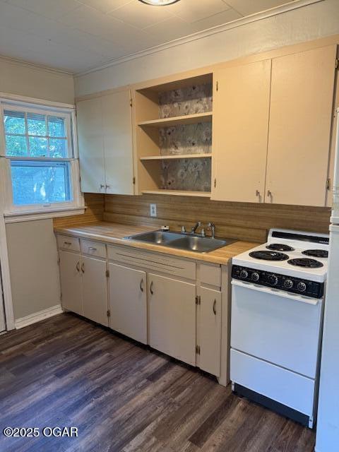 1705 S Walnut St, Pittsburg, KS 66762 - kitchen with white electric range, ornamental molding, dark wood-style floors, white cabinets, and light countertops