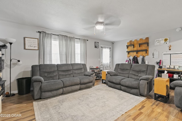 137 Lone Elm Dr, Carl Junction, MO 64834 - living room featuring wood finished floors and ceiling fan
