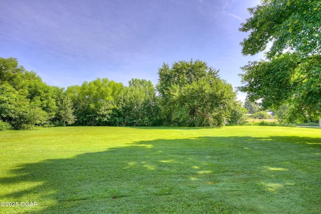 605 SE 10th Ln, Lamar, MO 64759 - view of grassy yard