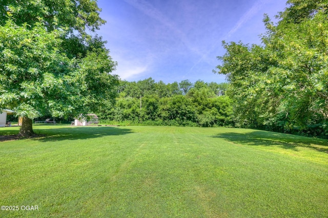 605 SE 10th Ln, Lamar, MO 64759 - view of green lawn