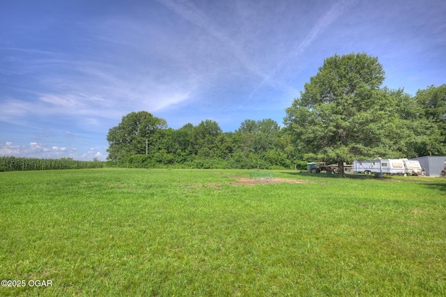 605 SE 10th Ln, Lamar, MO 64759 - view of green lawn