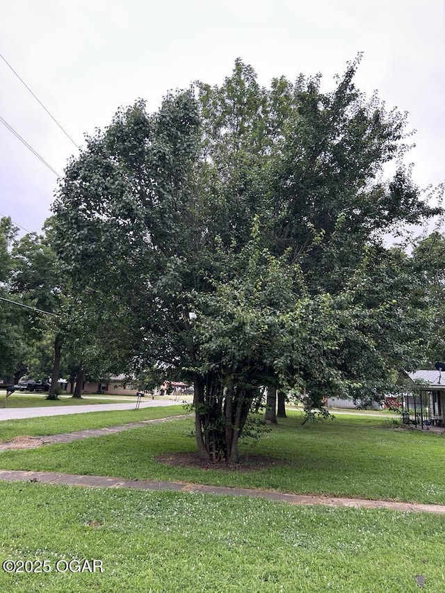 419 Depot St, Oswego, KS 67356 - view of grassy yard