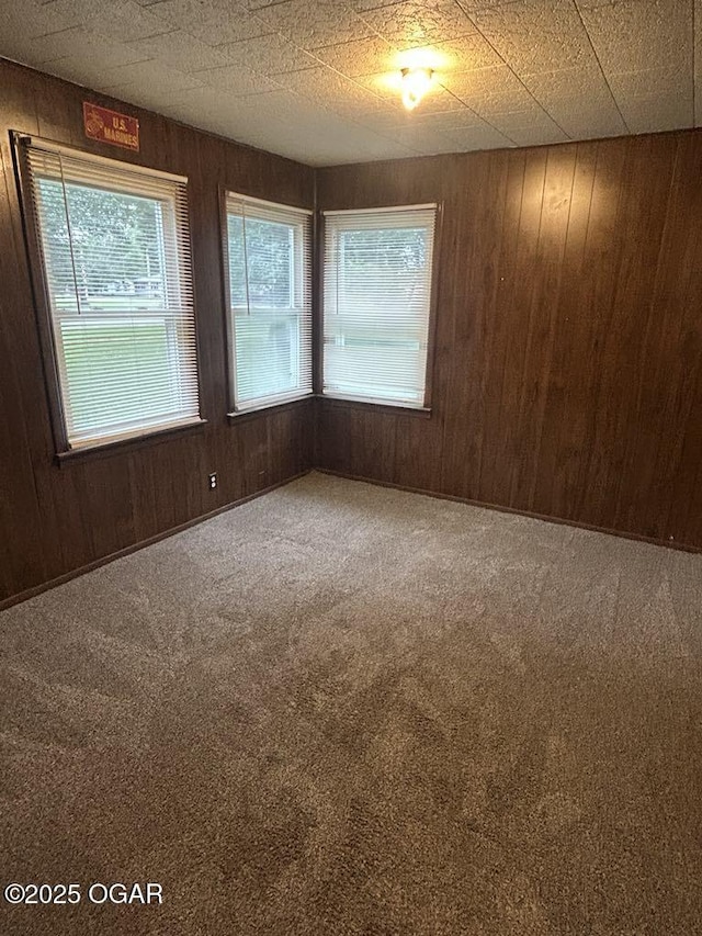 419 Depot St, Oswego, KS 67356 - carpeted empty room featuring wooden walls