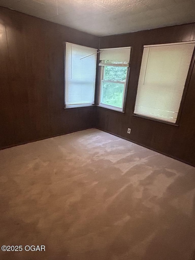 419 Depot St, Oswego, KS 67356 - empty room with carpet flooring and wood walls