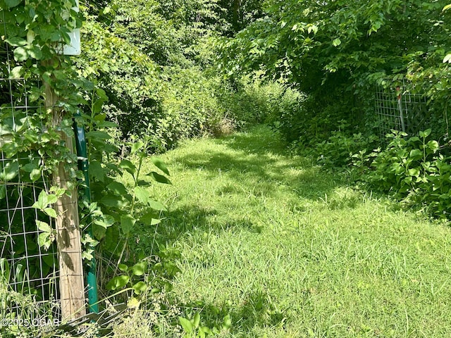 612 County Road 130, Diamond, MO 64840 - photo 58