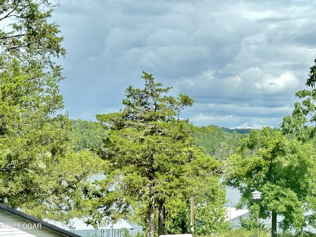 21935 Lake Rd Unit M 12, Cassville, MO 65625 - photo 2