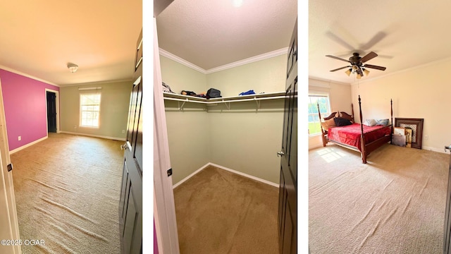 4950 SE 118th St, Galena, KS 66739 - carpeted bedroom featuring ornamental molding, ceiling fan, and a closet