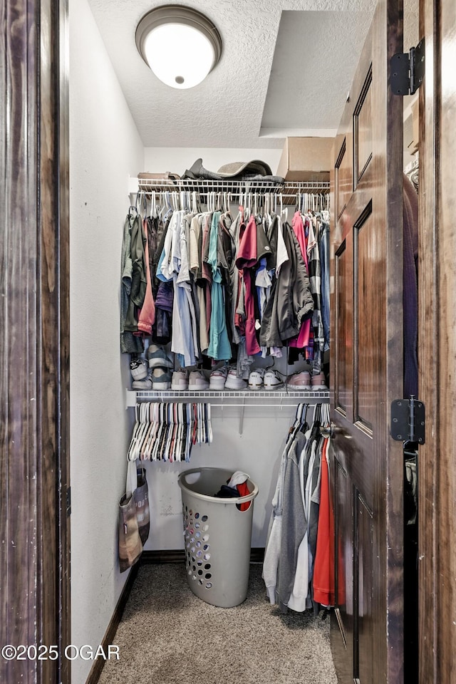 2256 N Greystone Sq, Webb City, MO 64870 - walk in closet with carpet flooring