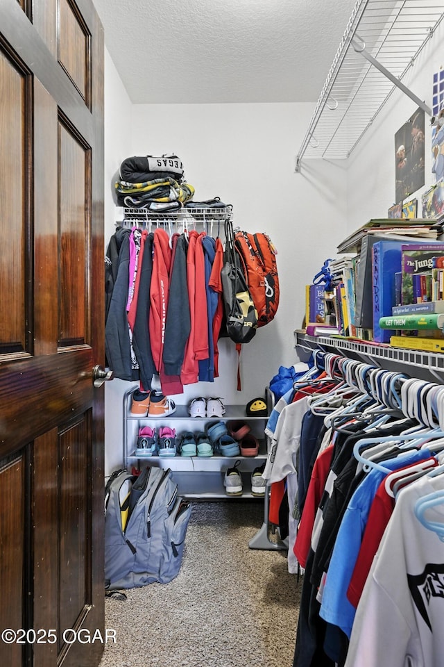 2256 N Greystone Sq, Webb City, MO 64870 - view of spacious closet