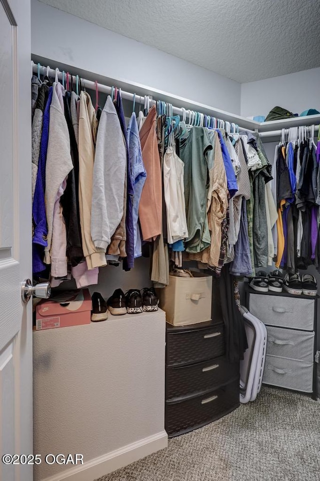 715 Wilson St, Webb City, MO 64870 - walk in closet featuring carpet floors