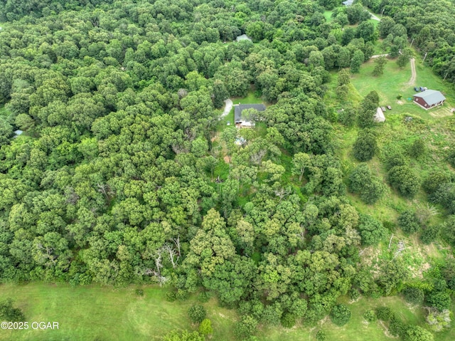 11830 Whispering Pines Rd, Neosho, MO 64850 - photo 57