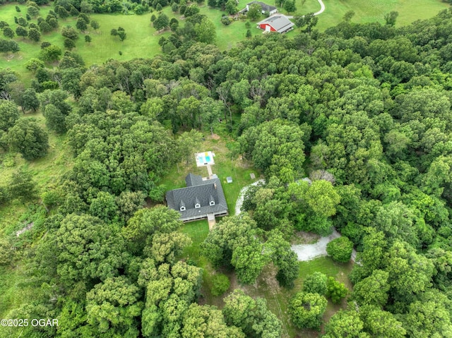 11830 Whispering Pines Rd, Neosho, MO 64850 - photo 40