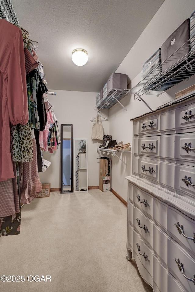 1253 Wilson Rd, Carthage, MO 64836 - photo 50