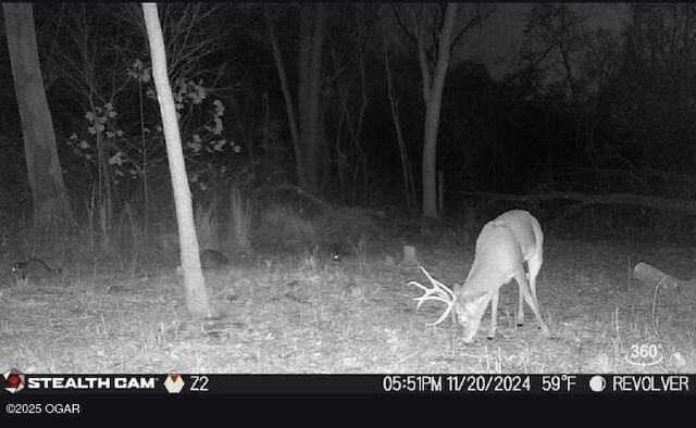 3301 Chipmunk Dr, Joplin, MO 64804 - photo 7