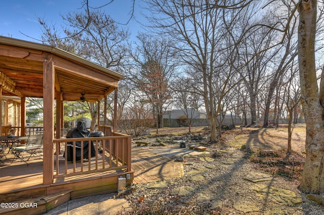902 S Quail Run, Carthage, MO 64836 - photo 57