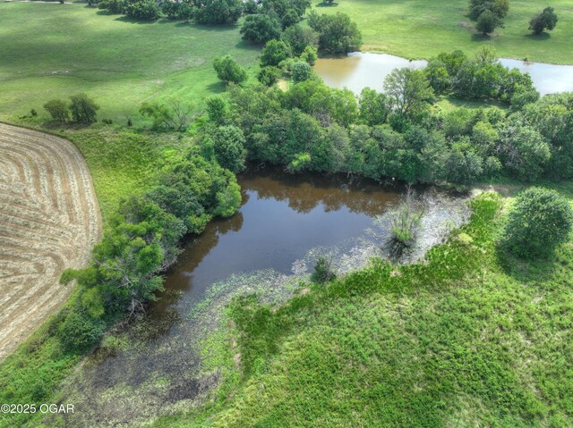 2199 Skylark Dr, Sarcoxie, MO 64862 - photo 44