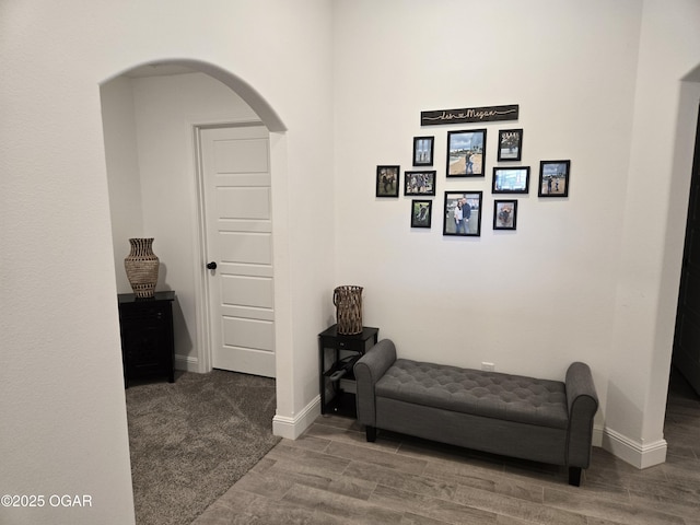 335 Swaden Ln, Webb City, MO 64870 - photo 5