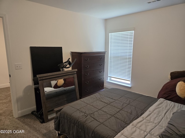 335 Swaden Ln, Webb City, MO 64870 - photo 28