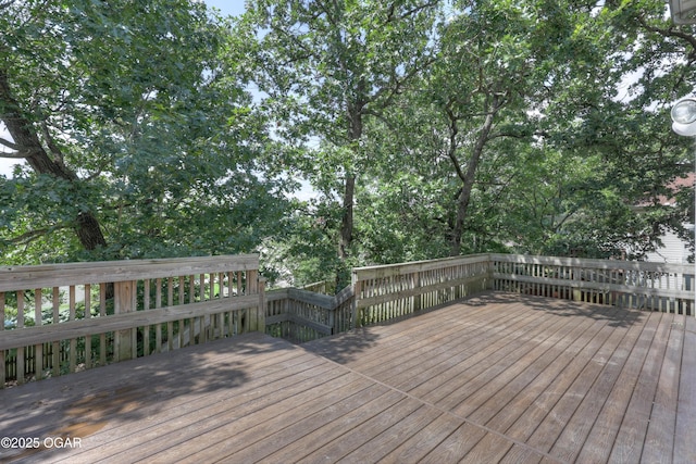 1842 Mountain Ash Dr, Joplin, MO 64801 - photo 62
